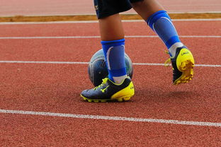 华体会体育平台-中国青少年篮球均衡发展政策分析,中国青少年篮球训练指导手册